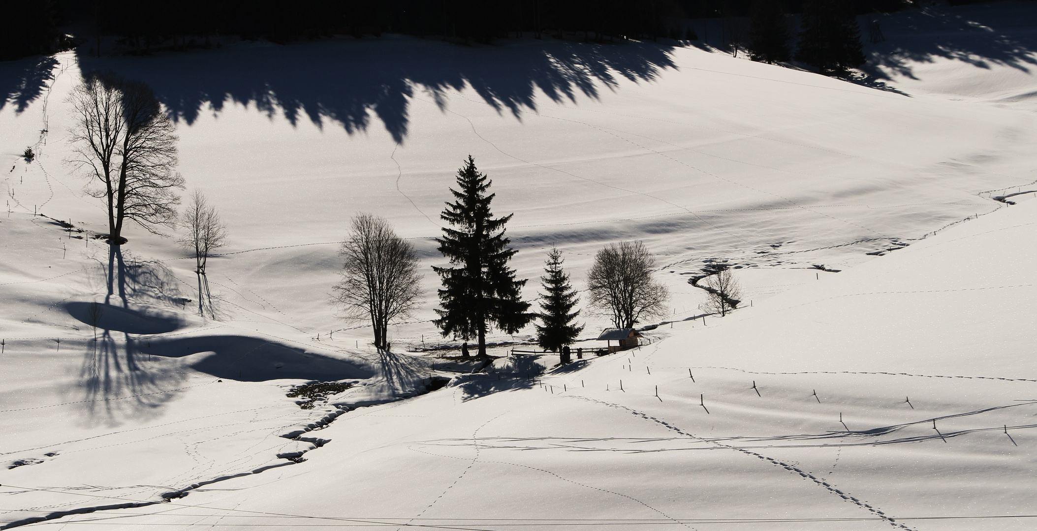 Linach (2)