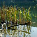 Linachstausee