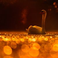 lina_naturmomente