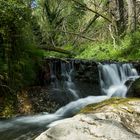 Linares waterfall