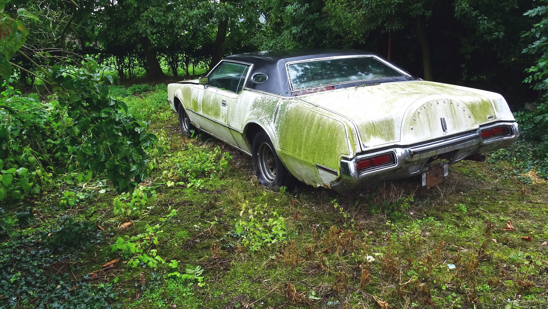 Lincoln Continental