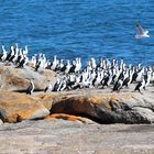 Lincoln NP / South Australia