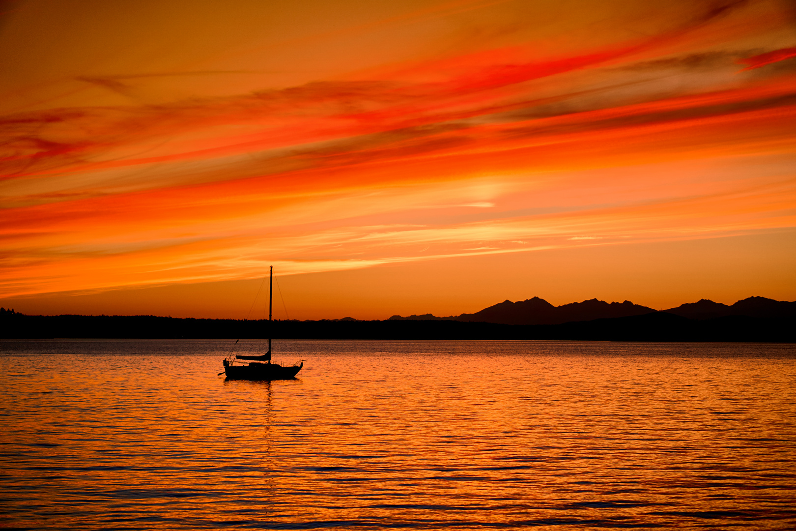 Lincoln Park Sunset Boat