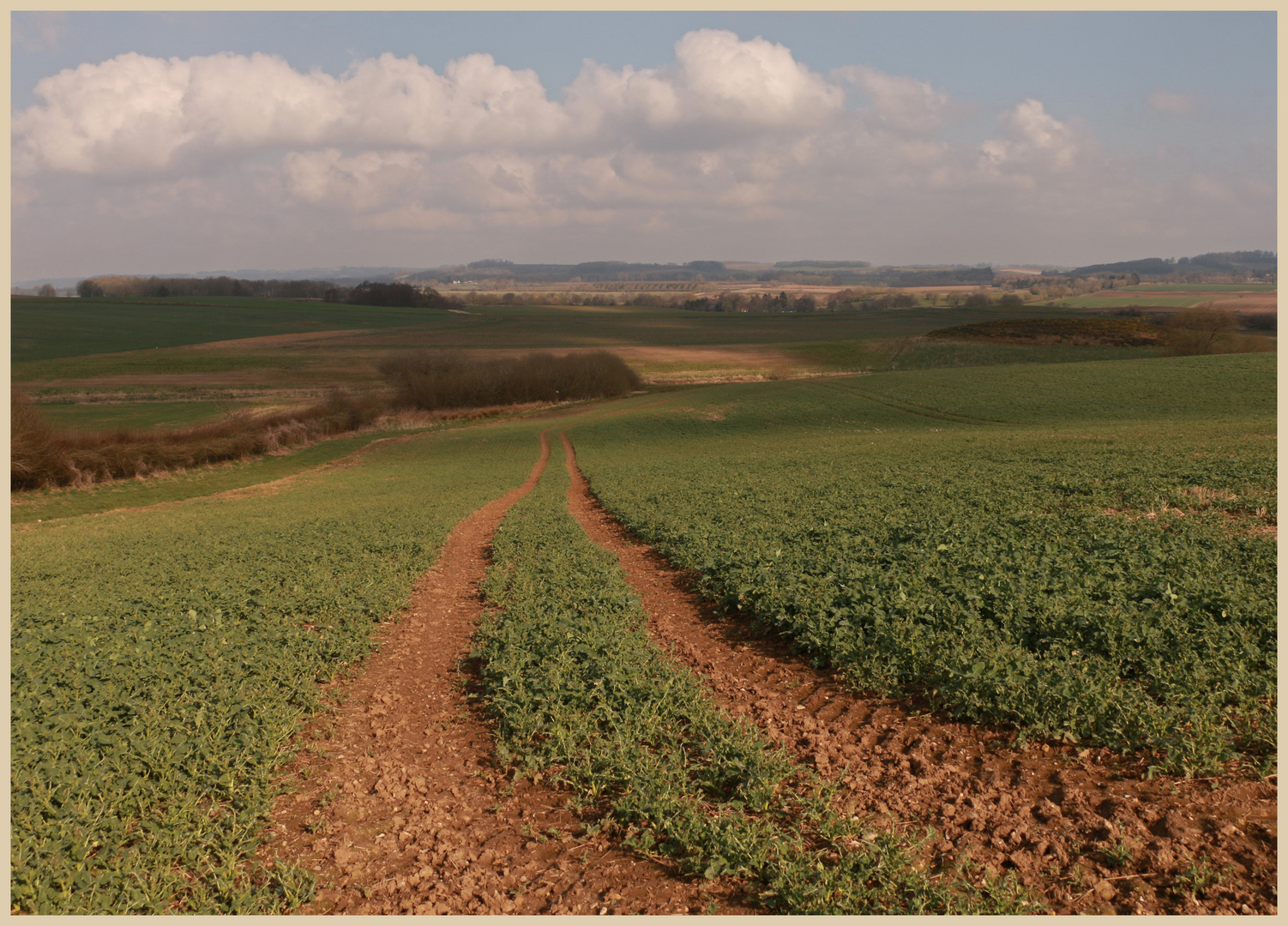 Lincolnshire Wolds near Horncastle 8