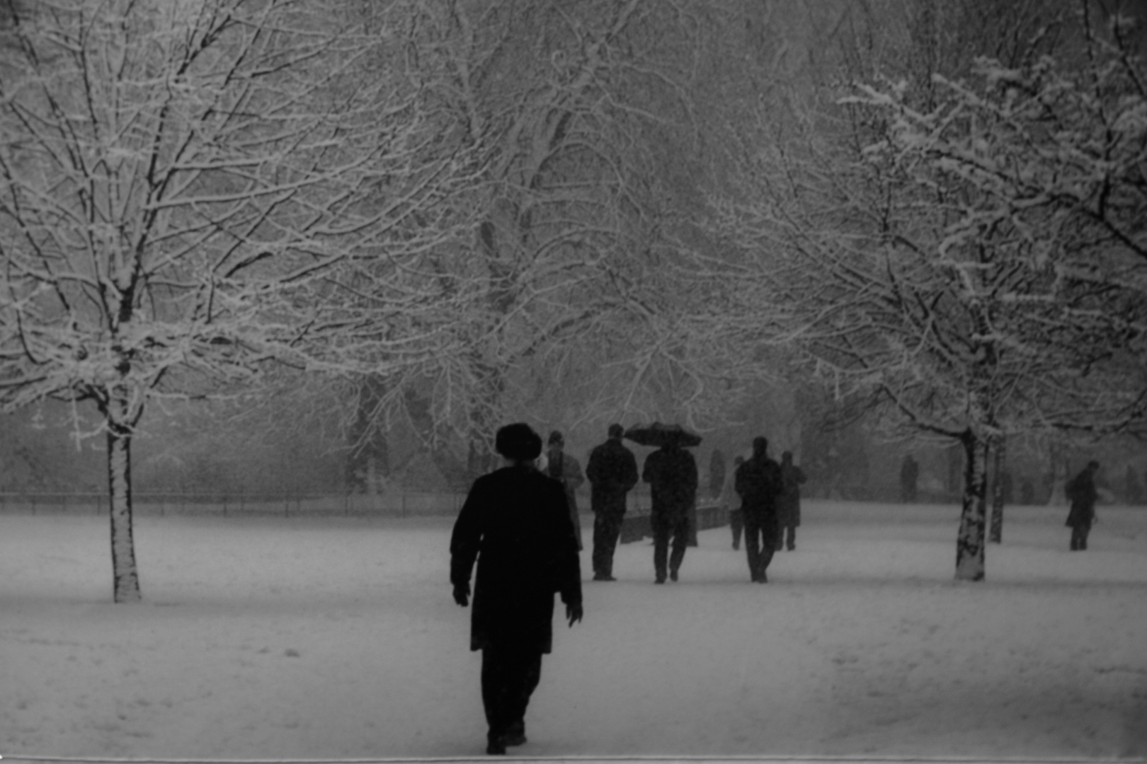 L'inconnu sous la neige