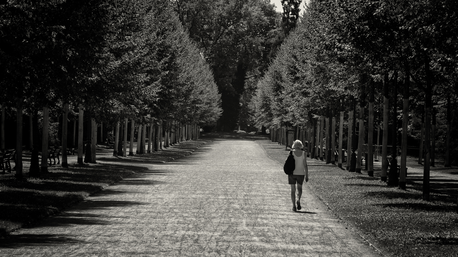 l'inconnue du parc