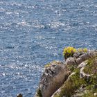 l'incontro dei DUE MARI.....mar Ionio e mar Adriatico, S.Maria di Leuca