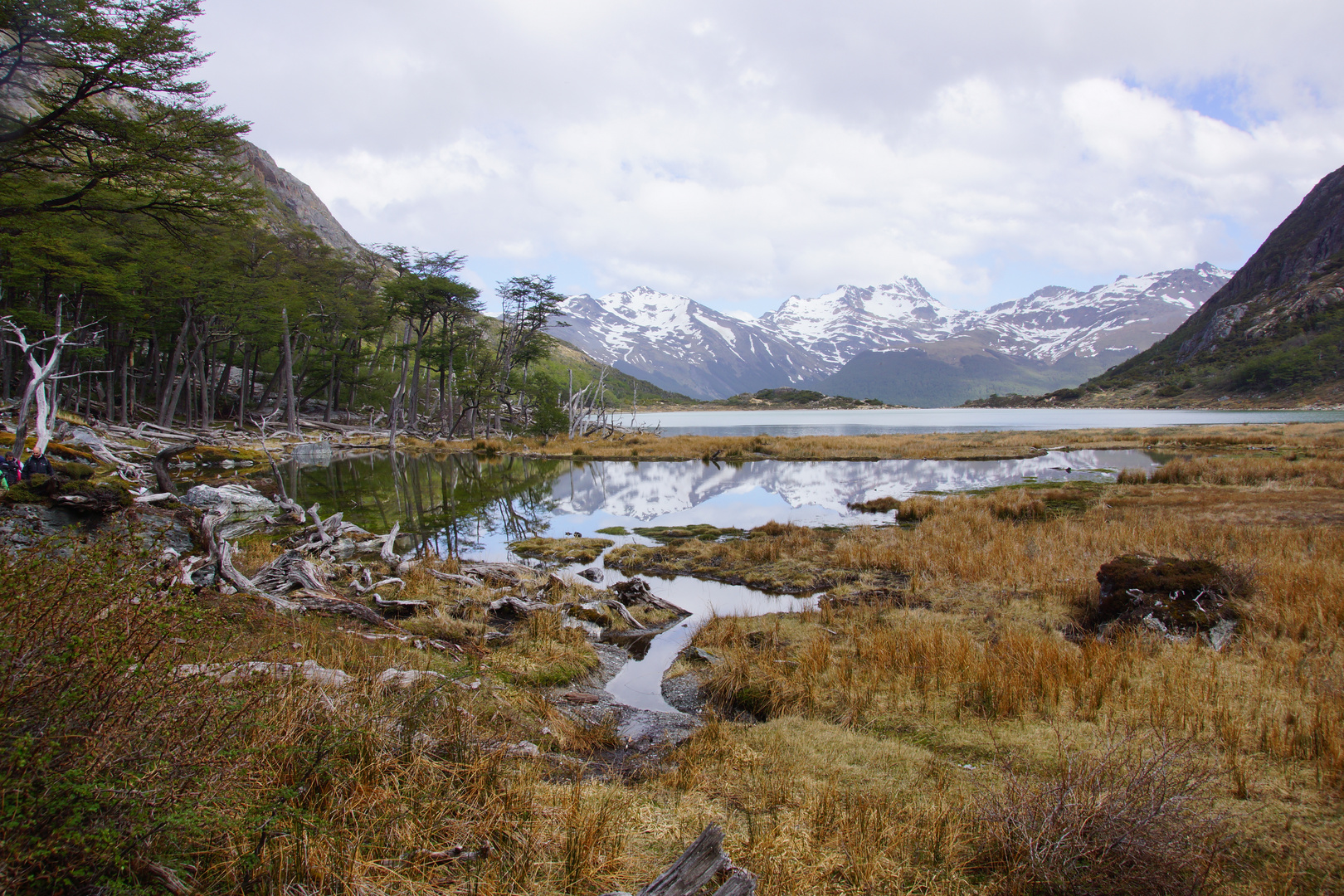 Linda Patagonia