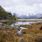 Linda Patagonia