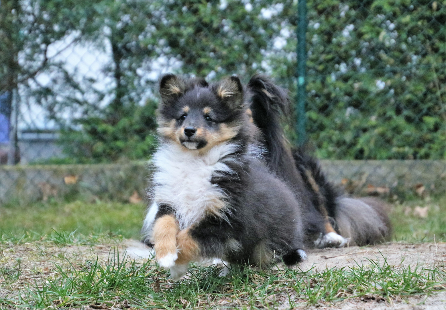 Linda und Wickie