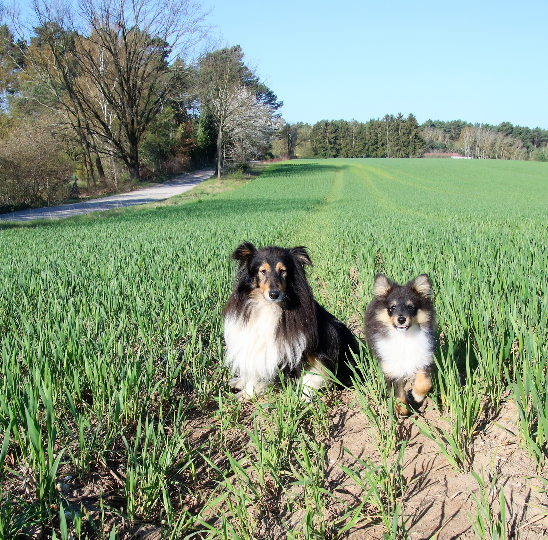 LInda und Wickie im Getreidefeld