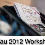 Lindau 2012 Workshops