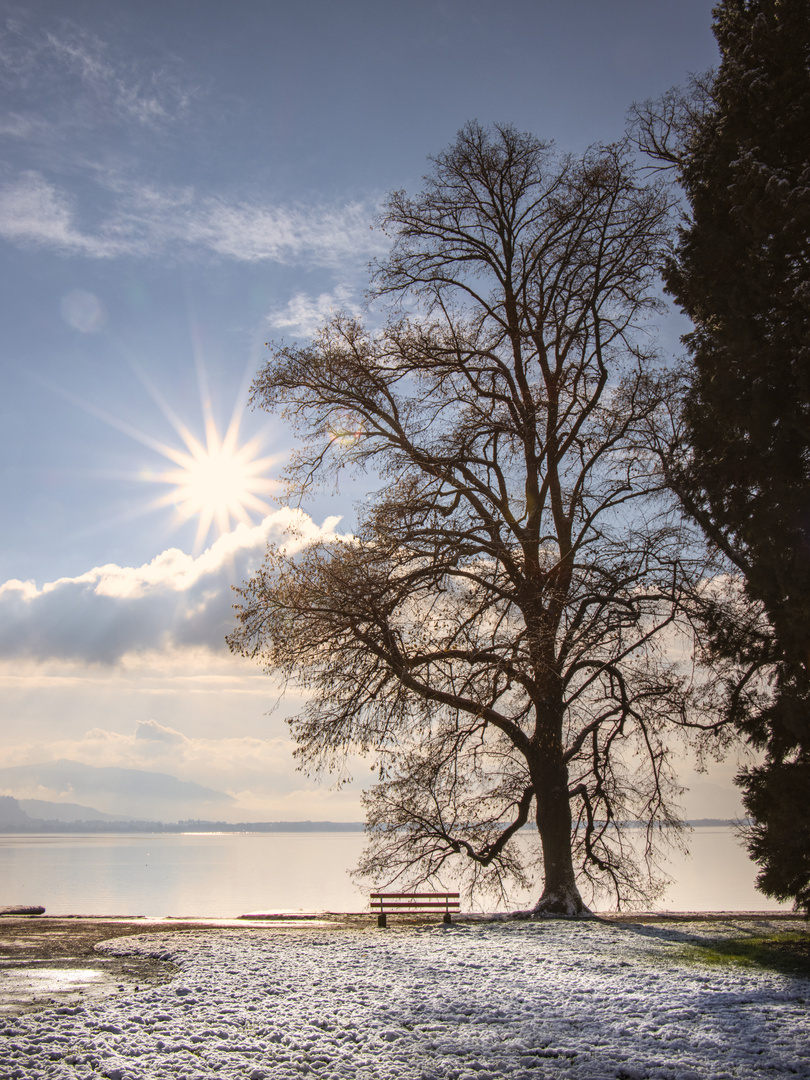 Lindau am Bodensee