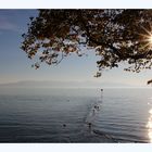 Lindau, Blick zum Bodensee