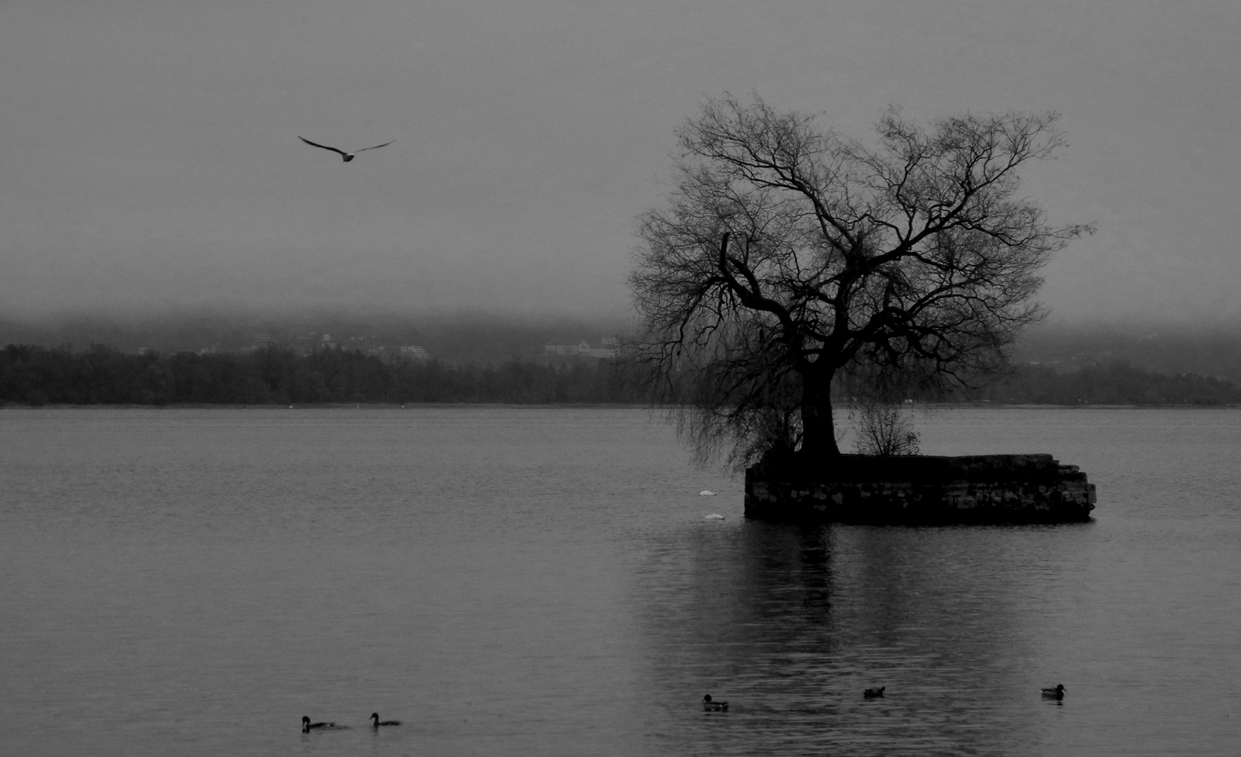 Lindau Bodensee