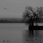 Lindau Bodensee