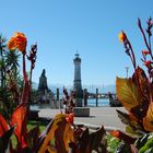 Lindau Hafen aus einer anderen Sicht 08.2012