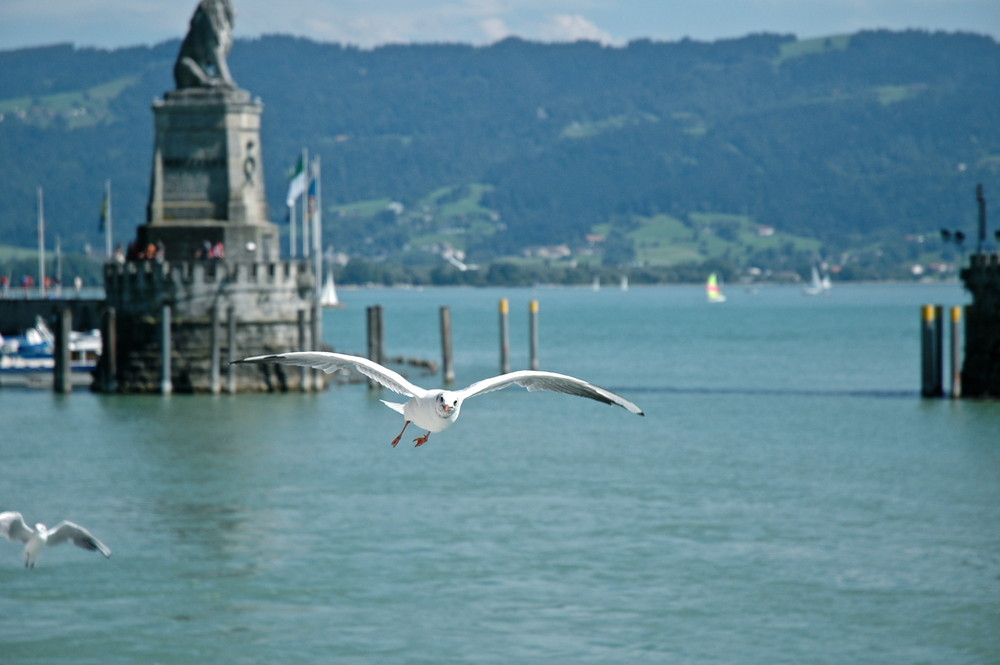 Lindau Hafen - Einflug 2