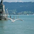 Lindau Hafen - Einflug 2