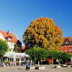 Lindau (Insel) Hafen im Traumherbst