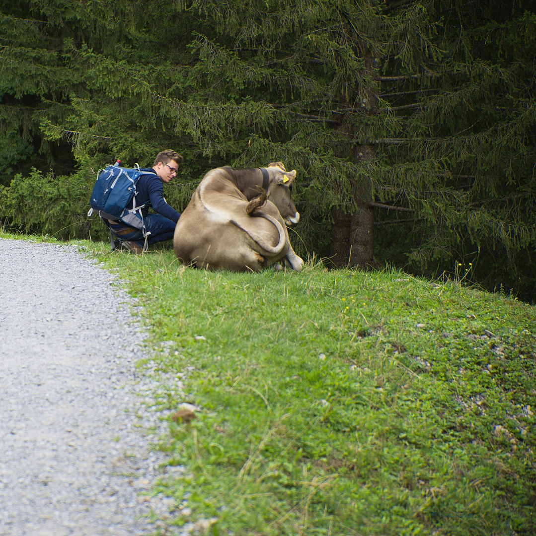 Lindau lebt 11 - Wanderung zum Seealpsee