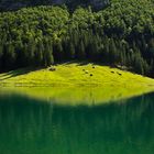 Lindau lebt 11 - Wanderung zum Seealpsee