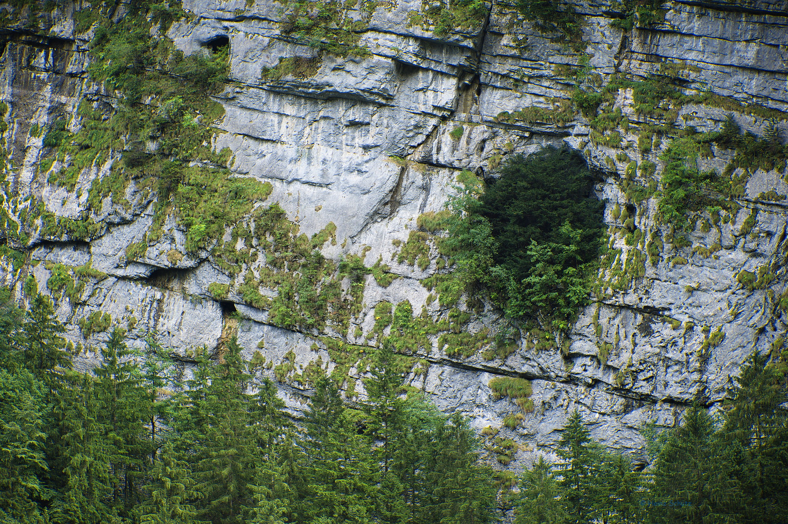 Lindau lebt 11 Wanderung zum Seealpsee Foto & Bild lindau lebt..., spezial, outdoor Bilder
