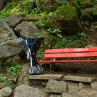 Lindau lebt 11 - Wanderung zum Seealpsee