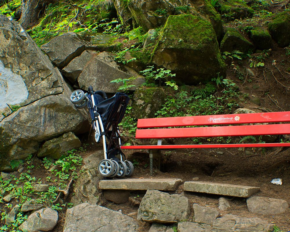 Lindau lebt 11 Wanderung zum Seealpsee Foto & Bild lindau lebt