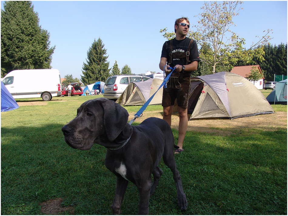 Lindau lebt ..... auf den Hund gekommen *g*