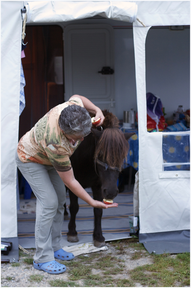 Lindau lebt oder: wie bekommt man ein Pony aus dem Vorzelt....