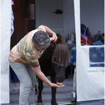 Lindau lebt oder: wie bekommt man ein Pony aus dem Vorzelt....