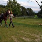 Lindau lebt .....  Steven vom Ponyhof  Riehm