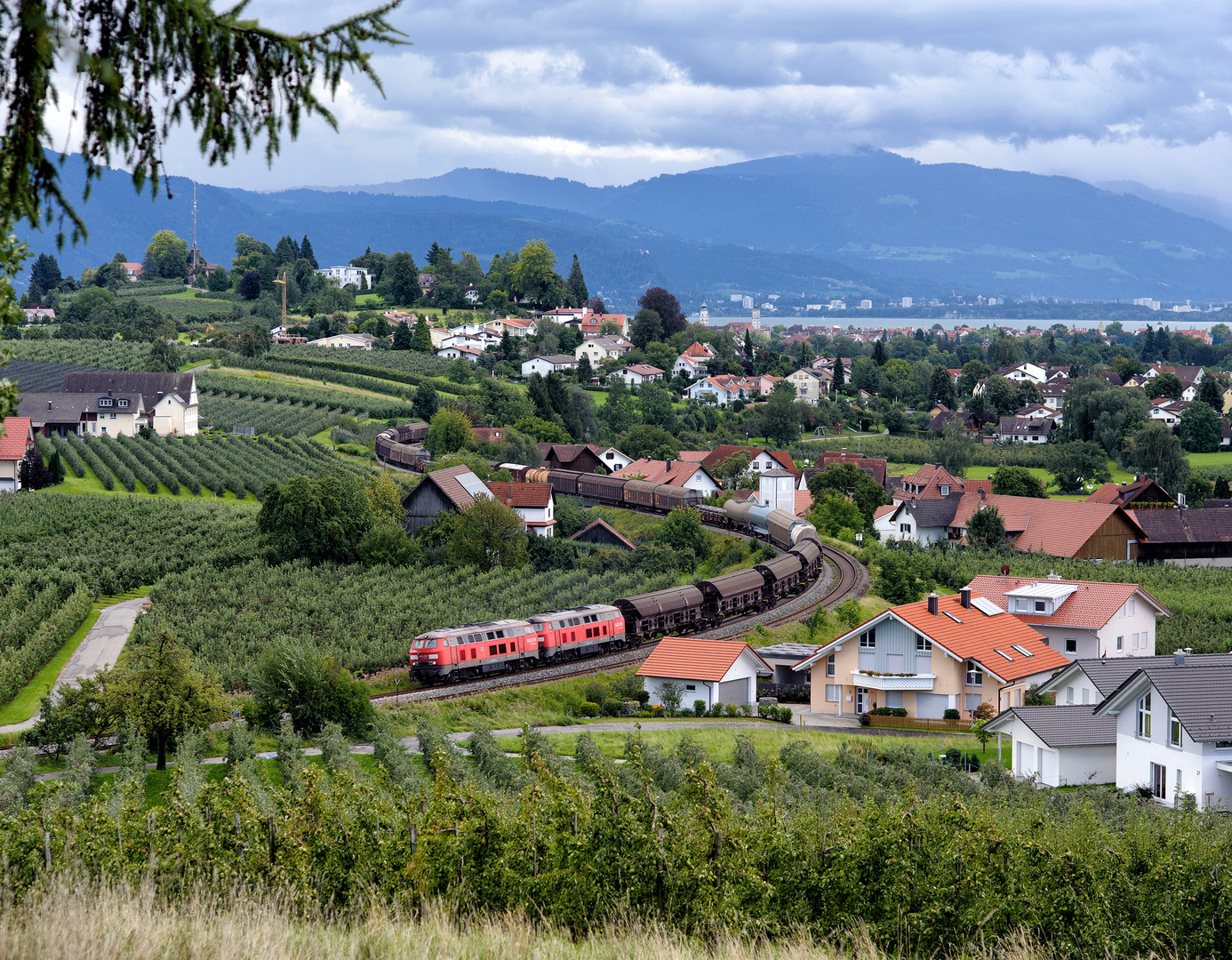 Lindau Loop