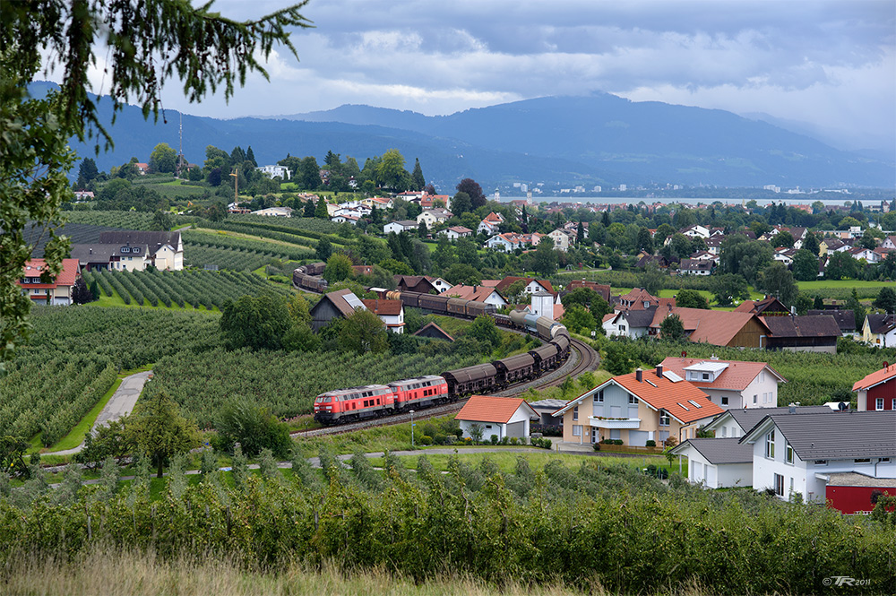 Lindau Loop