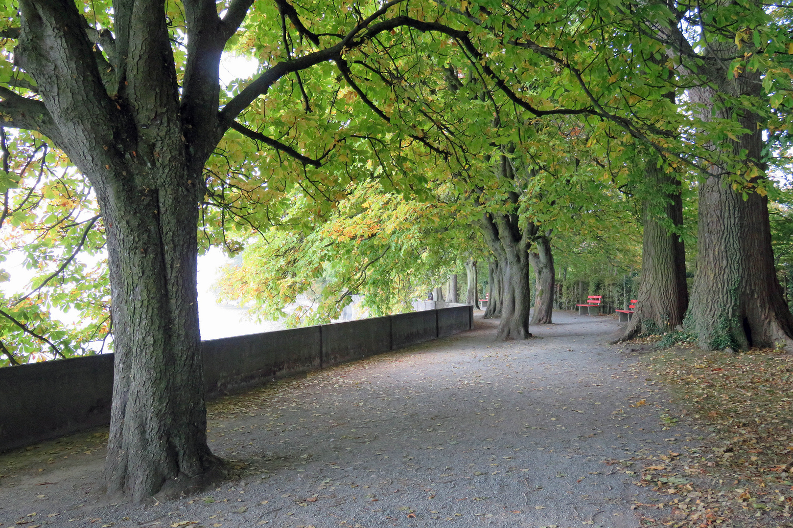 Lindau, Seepromenade 02