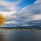 Lindau und Pfänderrücken im Herbst