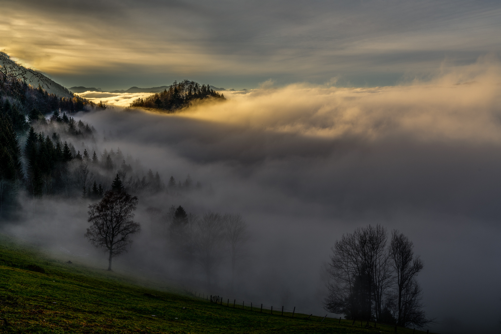 Lindauer bei Nebel ...