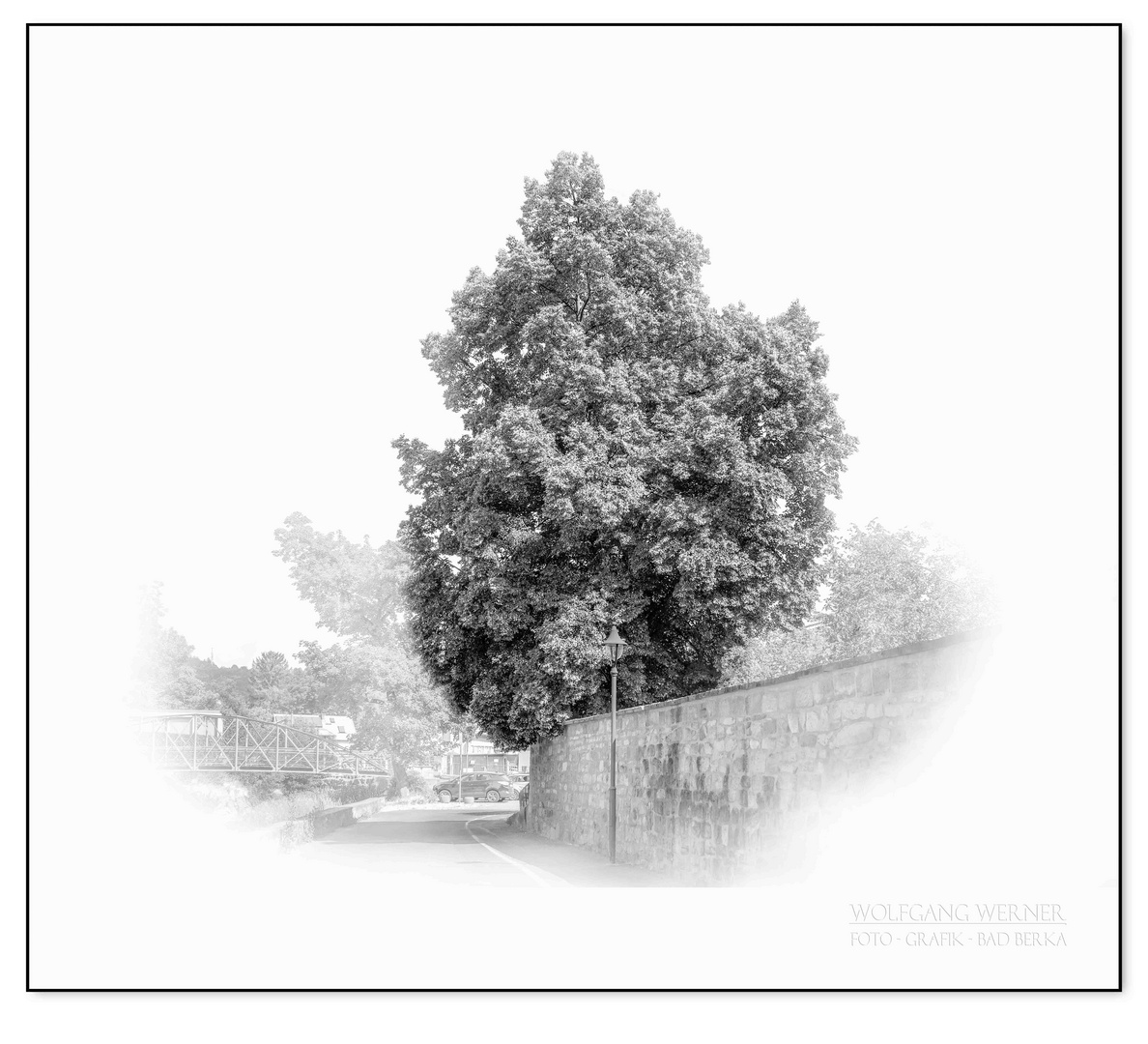 Linde im Garten vom Edelhof (Forstamt) in der Ilmstraße Foto & Bild