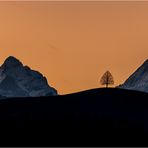 Linde Schreckhorn Emmental