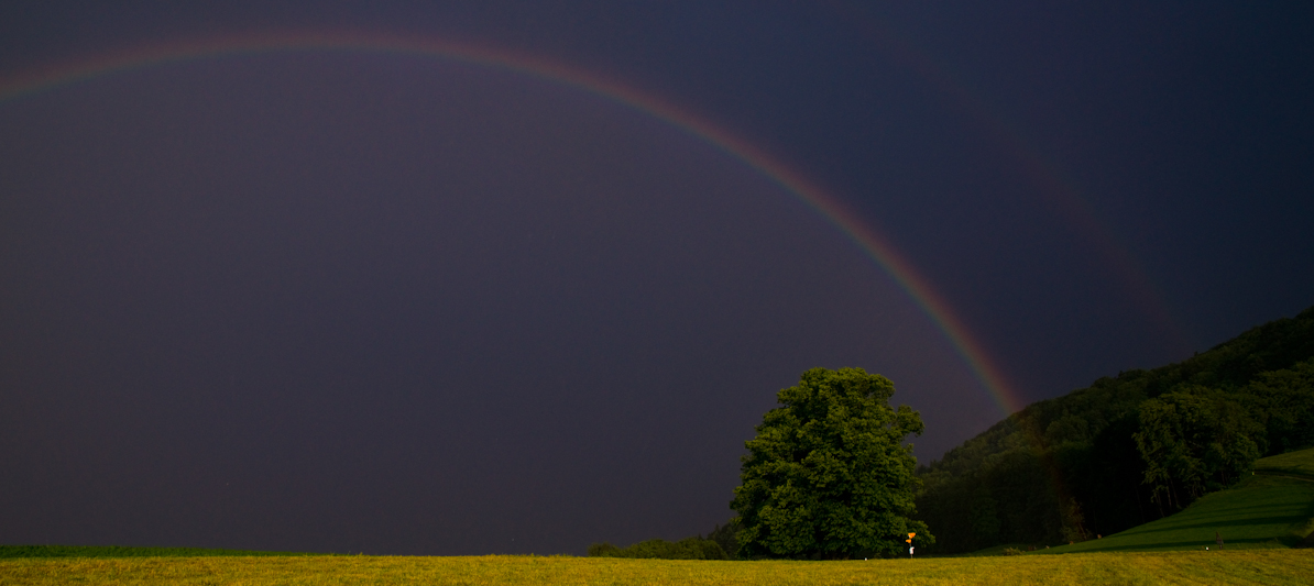 Linde unter dem Regenbogen