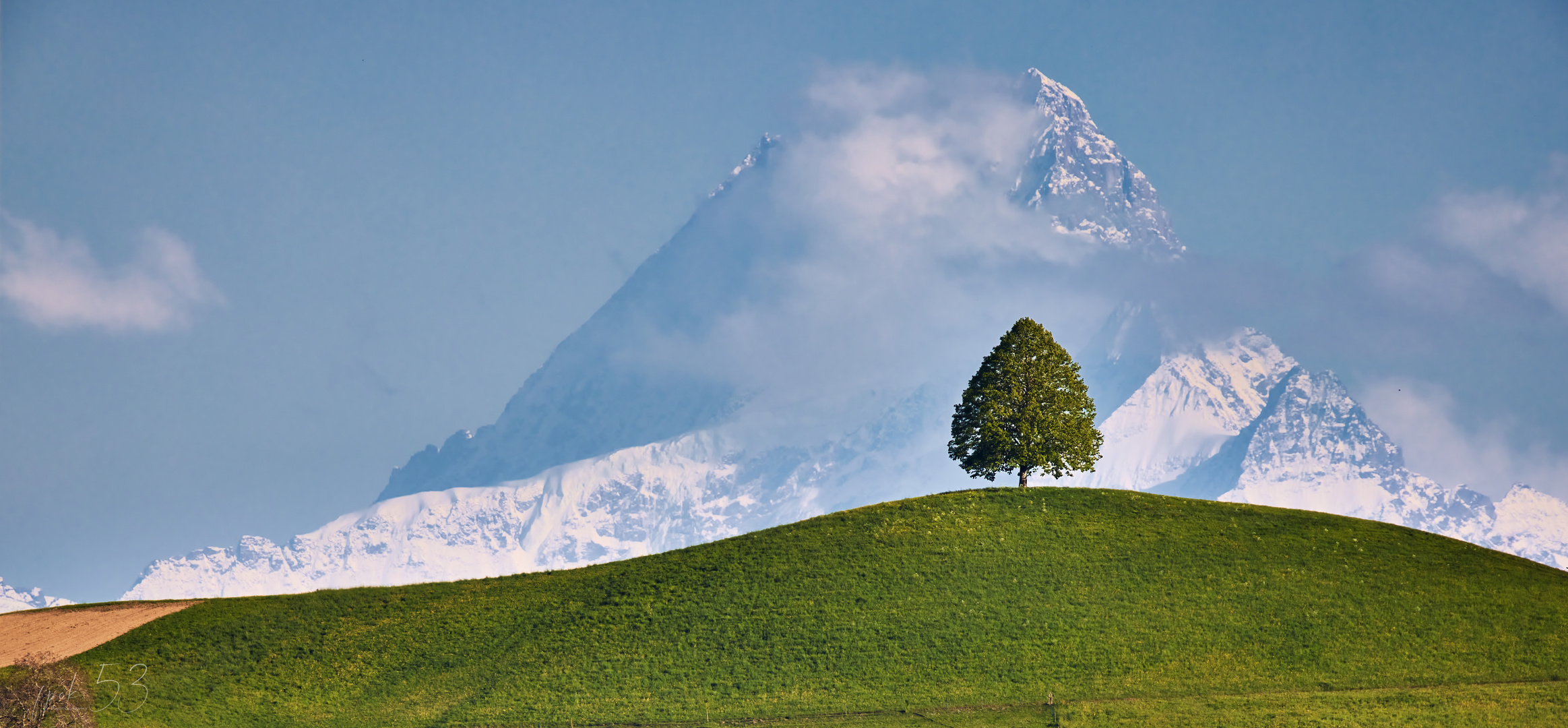 Linde vor Schreckhorn