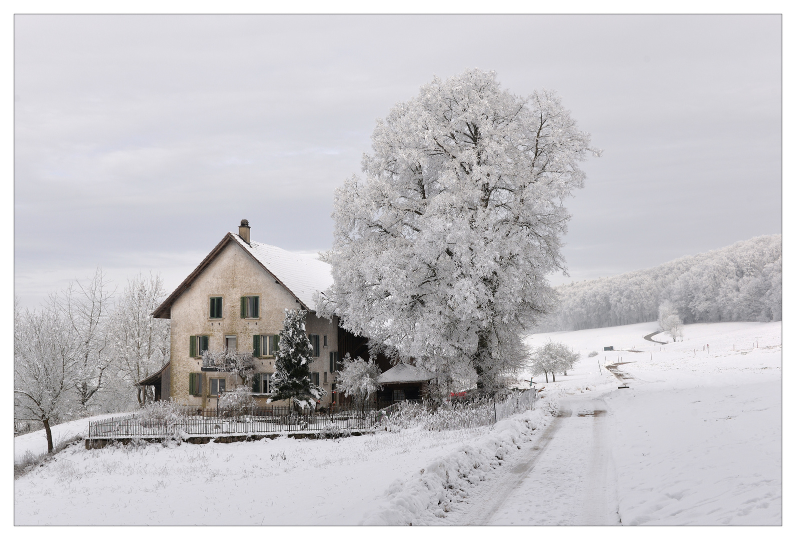 Lindehof im Winter.
