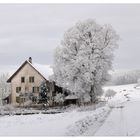 Lindehof im Winter.