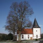 Linden in Mauswinkel (Vogelsberg)