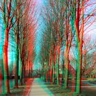 Lindenallee (3D für Rot/Cyan Brille)