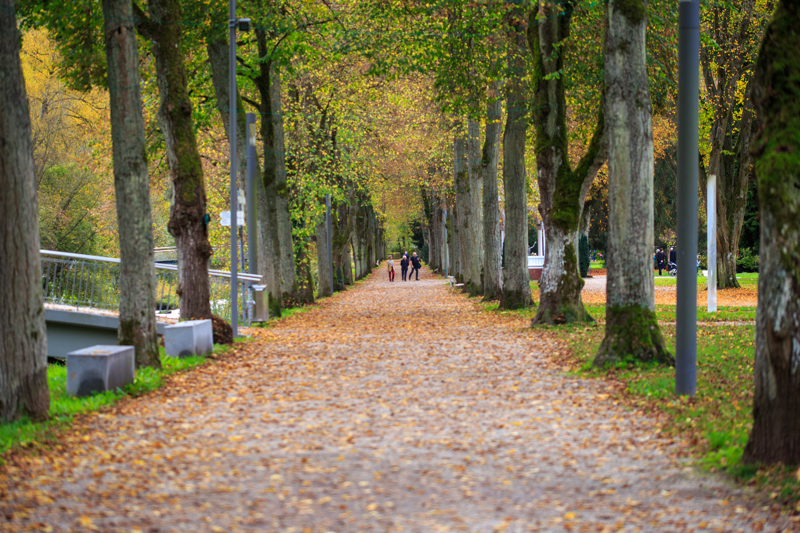 Lindenallee Bad Liebenzell