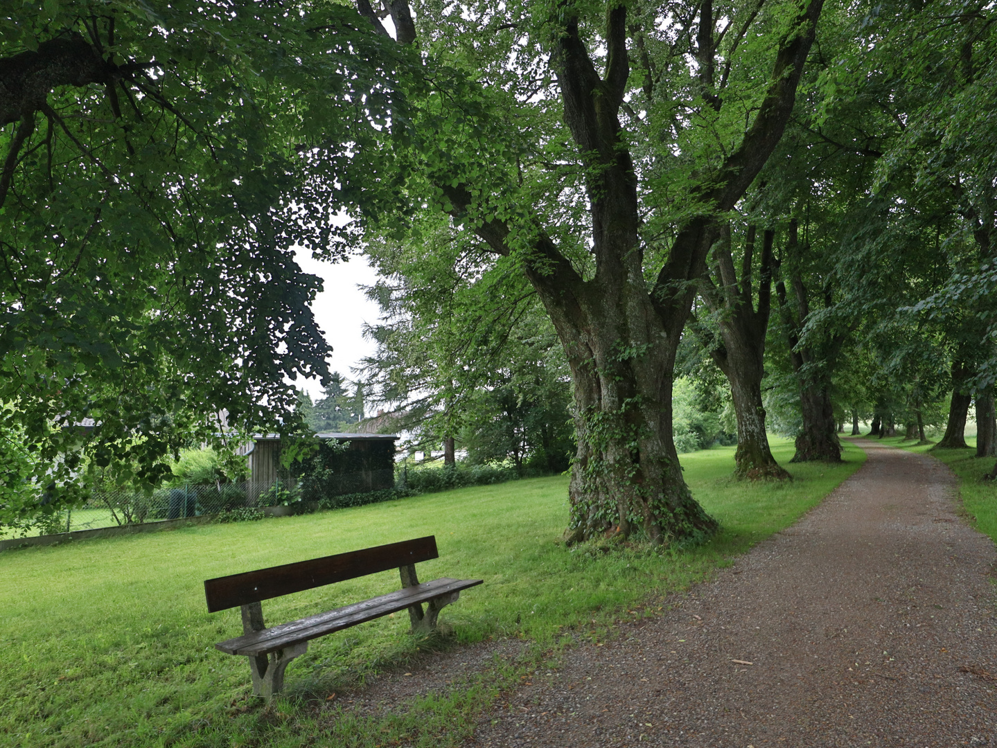 Lindenallee bei Mindelheim, Stadtreil Nassenbeuren