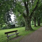 Lindenallee bei Mindelheim, Stadtreil Nassenbeuren