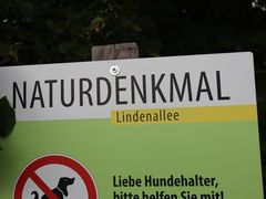 Lindenallee bei Mindelheim, Stadtreil Nassenbeuren